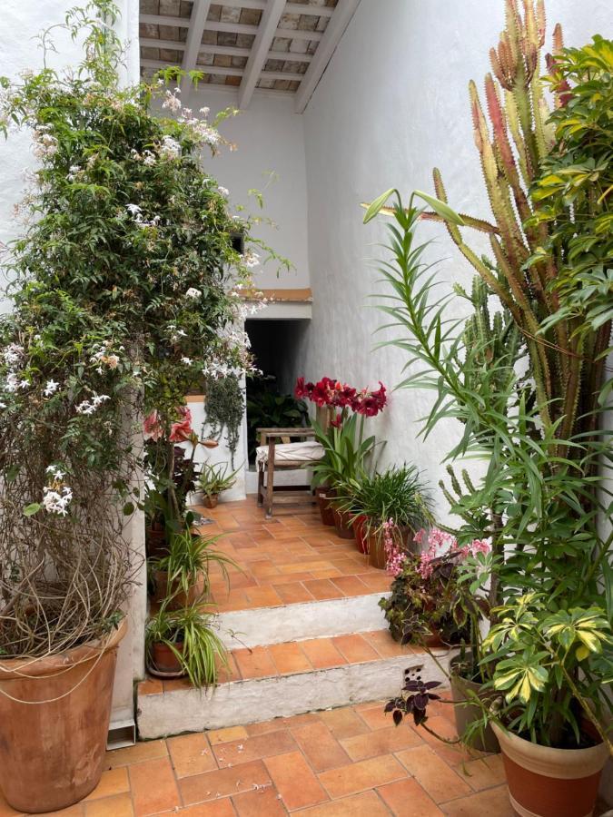 Casa Dulce Βίλα Vejer de la Frontera Εξωτερικό φωτογραφία